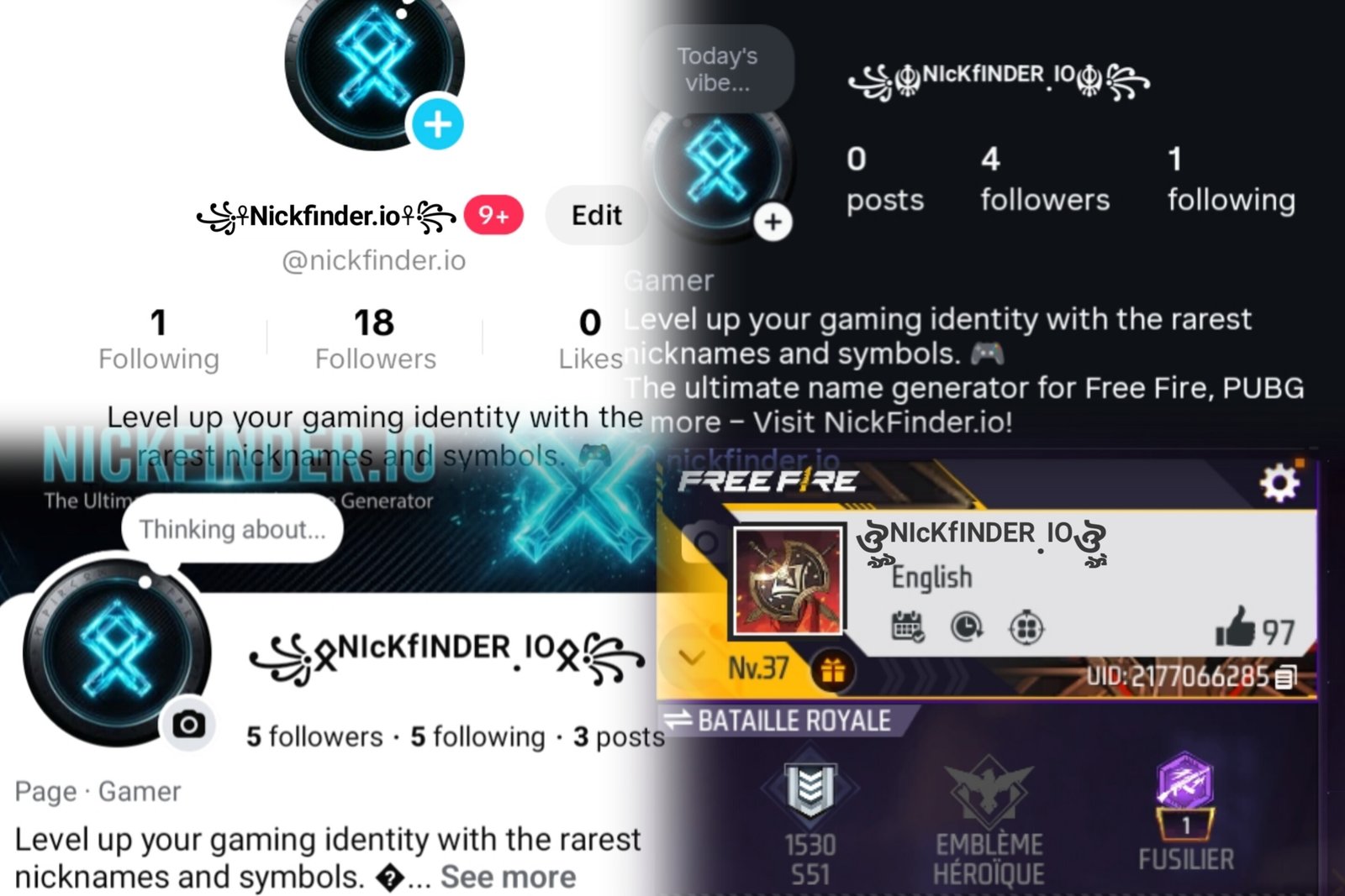Gaming profile showing consistent name across multiple platforms and seasons
