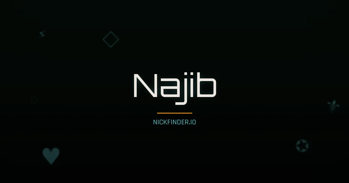 Najib name meaning Generous — Arabic origin | NickFinder.io